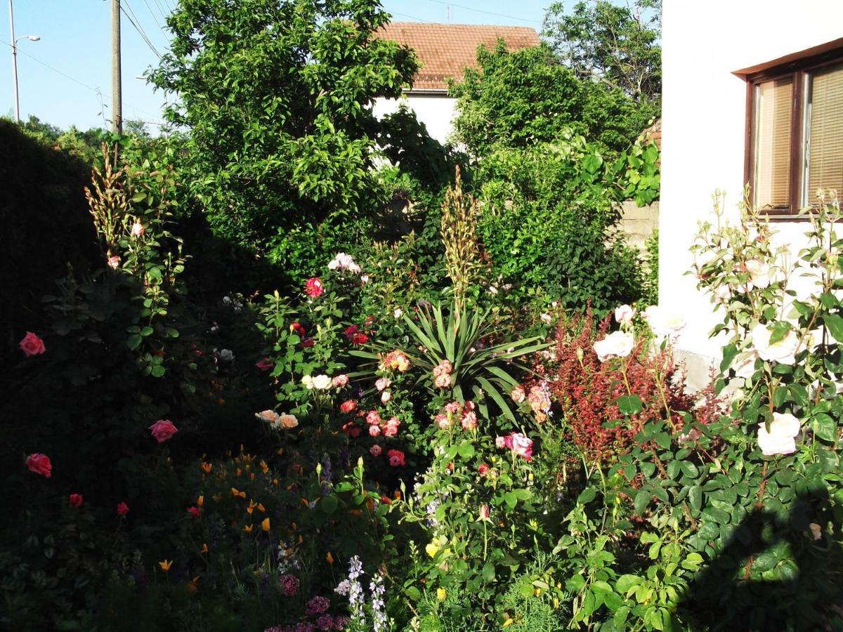 Sobe Lavanda Kladovo Exterior foto
